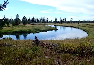 Bechler river on sale trail